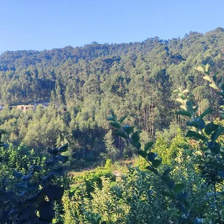 Burgo Das Formigas