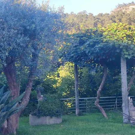 Burgo Das Formigas Tatil parkı *